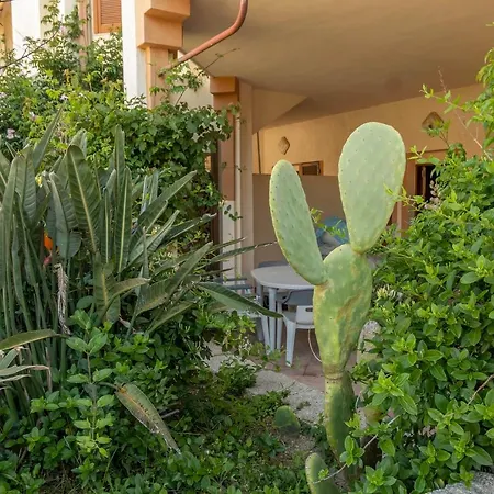 Apartment Orso Palau